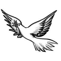 Hand drawn peace dove with olive branch (black pencil)