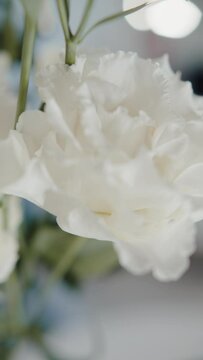 white eustoma bud close up. Vertical video