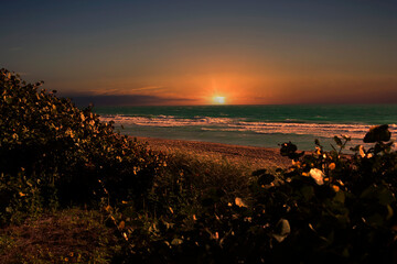 Sun Setting On Miami Beach, Golden Hightlights, Florida