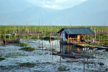 hut on the swam © FARID