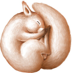 Curled up sleeping squirrel watercolour illustration © Anastasiya