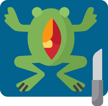frog dissection science icon