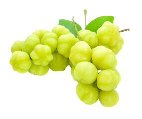 star gooseberry transparent png