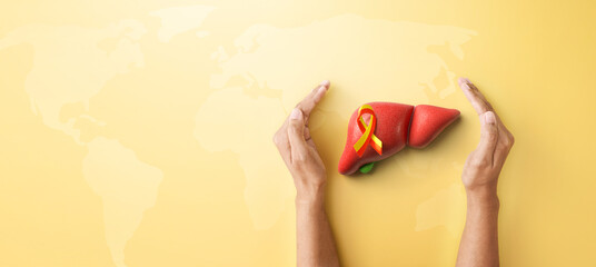  Hand hold liver organ with red yellow awareness ribbon on yellow background for banner of World Hepatitis day on July 28th - 616729214