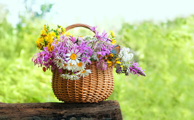 fresh useful herbs and flowers in wicker basket on tree stump, green natural background. Healthy...