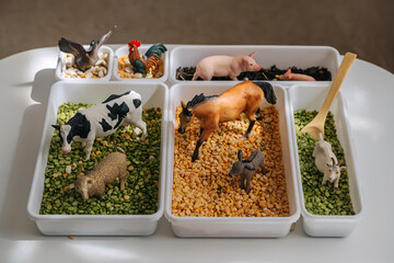 Farm animals in sensory bin. Educational game. Learning through play. Montessori material concept for toddlers. Sensory play ideas with small farm world play.