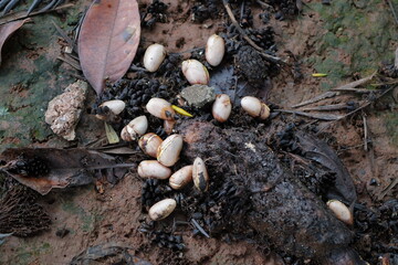 shot on my garden city
