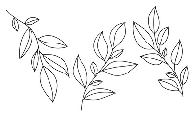 Set line art twigs with leaves. Outline hand drawn leaf