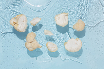 Minimal fungiculture concept. Pieces of lion's mane floating in water. Isolated pastel blue background with splashes and shadows. Edible medicinal mushrooms hericium erinaceus. Summer food top view. © jbuinac