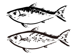 真鯖とゴマ鯖の手描き和風イラスト和風素材