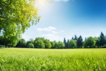 Obraz premium Spring nature with trimmed lawn, trees, blue sky, and clouds, Generative AI