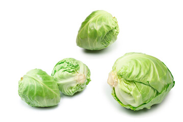 Fototapeta premium Cabbage isolated on white background.