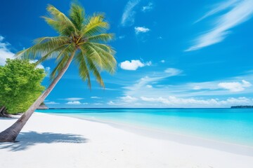 Fototapeta na wymiar Idyllic Maldives beach white sand, turquoise ocean, palm tree, Generative AI