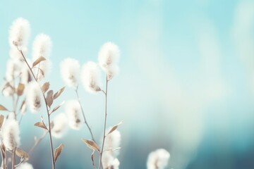 Naklejka premium Spring willow branches in soft focus on blue background, Generative AI