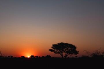 Fototapeta na wymiar Africa sunset