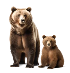 Fototapeten an adult grizzly bear and a cub, isolated background. Generative Ai © FP Creative Stock