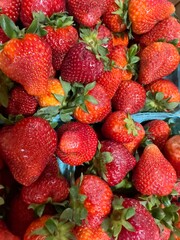 Close up of fresh strawberries 