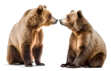 Fototapeten a couple of grizzly bear in love, isolated background. Generative Ai © FP Creative Stock