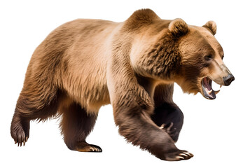 scary grizzly bear running to hunt, isolated background. Generative Ai