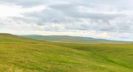 Fototapeta na wymiar landscape with green grass and clouds. Mongolian meadow. panoramic view of the Mongolian grassland. 