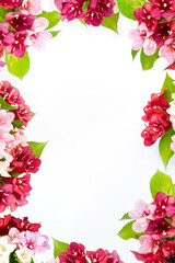 Natural floral frame layout, isolated on white backgroundwith copy space for text . Flat lay. Top view.