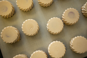 Delicious desserts from the confectionery. Close up