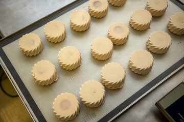 Delicious desserts from the confectionery. Close up