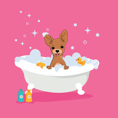A small cartoon dog sits in a bath with a toy with a pink background. T.oy Terrier Illustration for a grooming salon.
