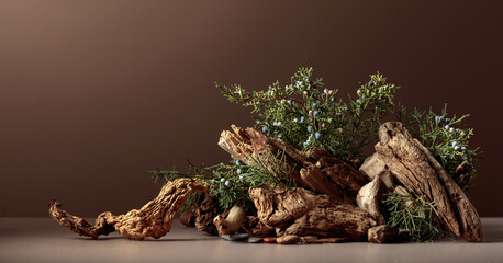 Abstract nature scene with a composition of juniper and dry snags.