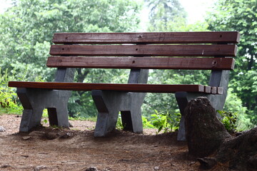 wooden bench in the forest 