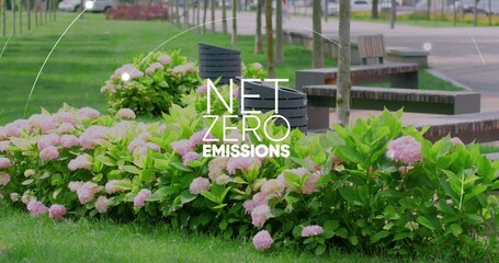 City park with hydrangea bushes and green lawn.Net zero emmisions.CO2 reduce. Global warming - Powered by Adobe