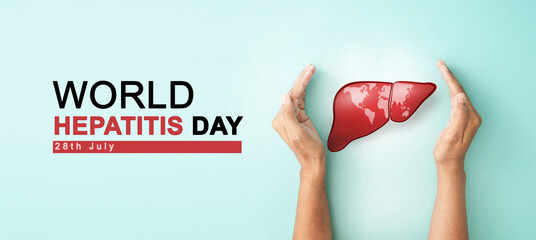 Hand hold liver organ with world map for banner of World Hepatitis day on July 28th