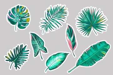 Tropical leaf stickers. Palm leaves, banana leaves, monstera, calathea stromantha, philodendron, dieffenbachia, alocasia. A set of stickers, patches, pins. Jungle plants isolated. Vector. © Oksana_Skryp