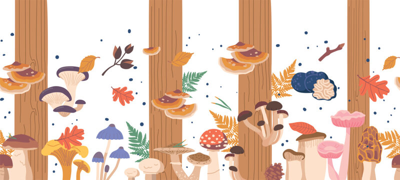 Seamless Pattern With Forest Mushrooms, Featuring A Variety Of Colorful Fungi Scattered Across A Natural Backdrop
