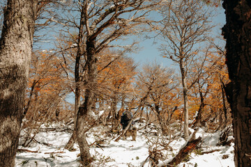Mountains, snow and trekking