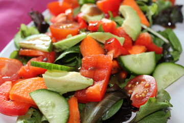 Fresh Healthy nutritious salad with avocado, cucumber, tomato, carrot and peppers