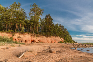 Ezhurgas cliffs (latvian: Ežurgas klintis) on Baltic sea shore in Latvia on summer day - obrazy, fototapety, plakaty