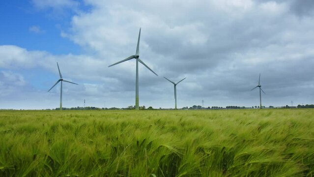 Wind Turbines on a barley field in East Frisia on a windy summer day in 2023. Barley Field moving in the strong wind in the foreground. Dramatic sky.