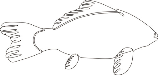Fish vector continuous line drawing