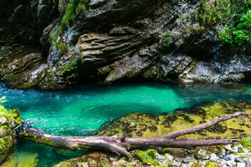 Turquoise Water of Radovna River in Vintgar Gorge, Slovenia