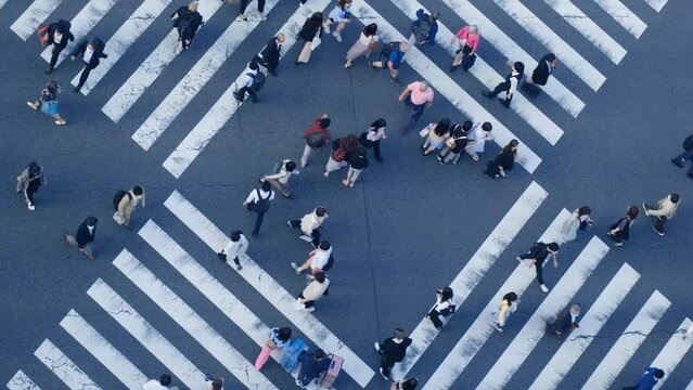 Aerial view of pedestrians walk crossing road intersection junction in downtown. Tokyo, Japan.	
