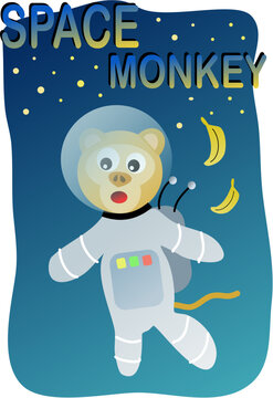 Image of a space monkey