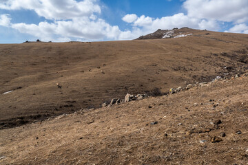 Landscape in Hustai National Park as known Khustain Nuruu National Park, Central Mongolia