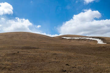 Landscape in Hustai National Park as known Khustain Nuruu National Park, Central Mongolia