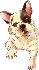 Naklejka premium French bulldog dog watercolor illustration