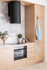 wooden cabinet with integrated household appliances at modern kitchen