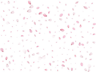 Flying Spring Sakura.