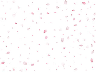 Flying Spring Sakura.