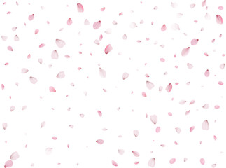 Flying Spring Sakura.