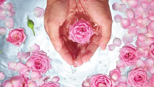 Female gentle hands with water and rose flower